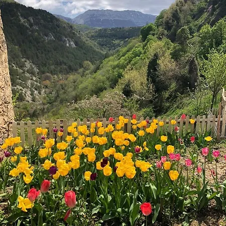 Monolocale Rustico * Cansano