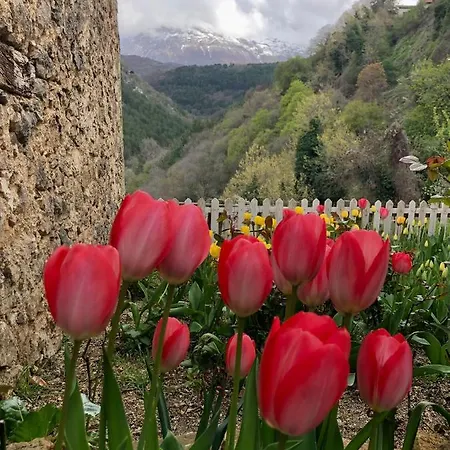 Apartmán Monolocale Rustico Cansano