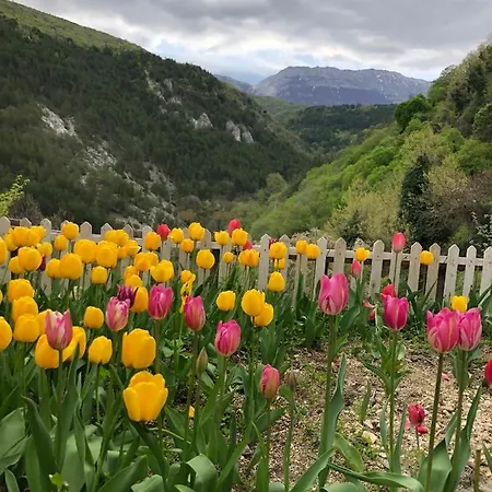 Monolocale Rustico アパート