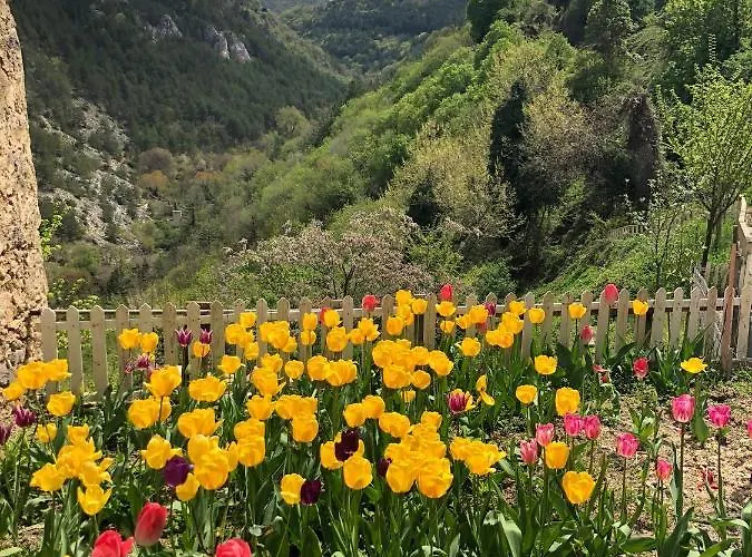 Monolocale Rustico * Cansano