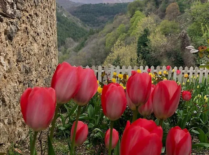 Apartmán Monolocale Rustico Cansano