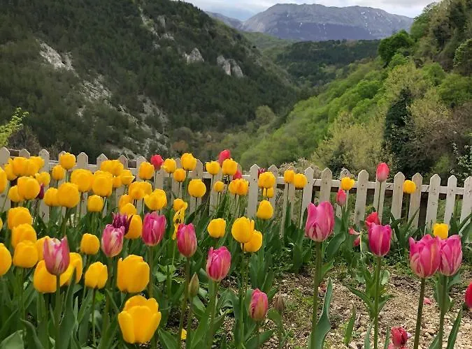 Monolocale Rustico Apartmán